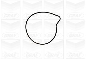 DEVIRDAIM POMPASI MERCEDES OM640 W169 W240