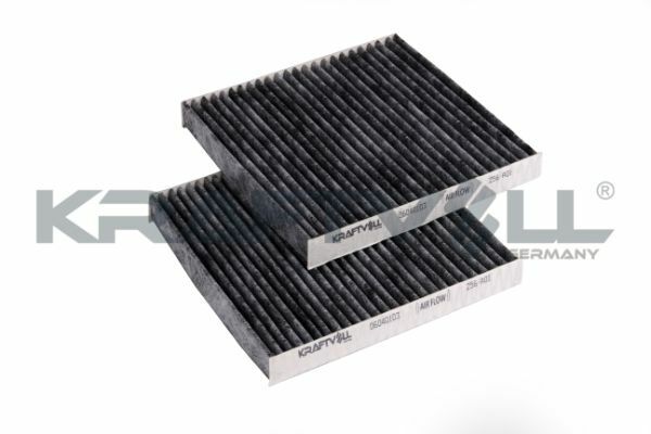 Polen Filtresi BMW X3 F25 X4 F26 Karbonlu