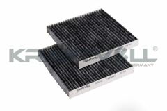 Polen Filtresi BMW X3 F25 X4 F26 Karbonlu