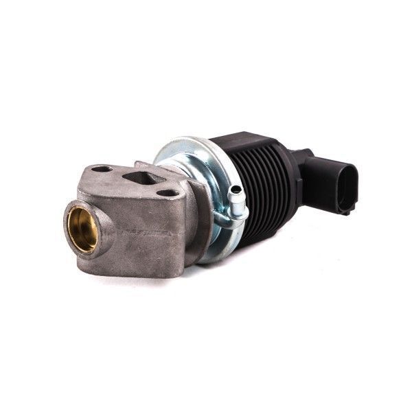 Seat Cordoba 2002-2009 1 4 BKY / BBZ Motor Egr Valfi