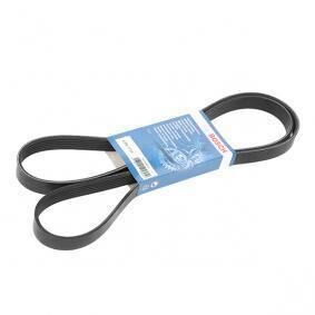 Volkswagen Seat Leon 2006-2013 Model 1 4 TSI CAX V Kayışı