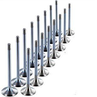 Skoda Octavıa 2004-2013 Model Arası 1 6 FSI Motor Emme Egzoz Subap Takımı