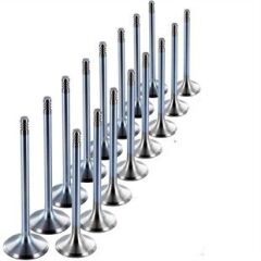 Skoda Octavıa 2004-2013 Model Arası 1 6 FSI Motor Emme Egzoz Subap Takımı